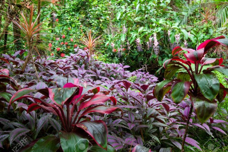 Transforma tu patio o jardín en un paraíso tropical: consejos y trucos